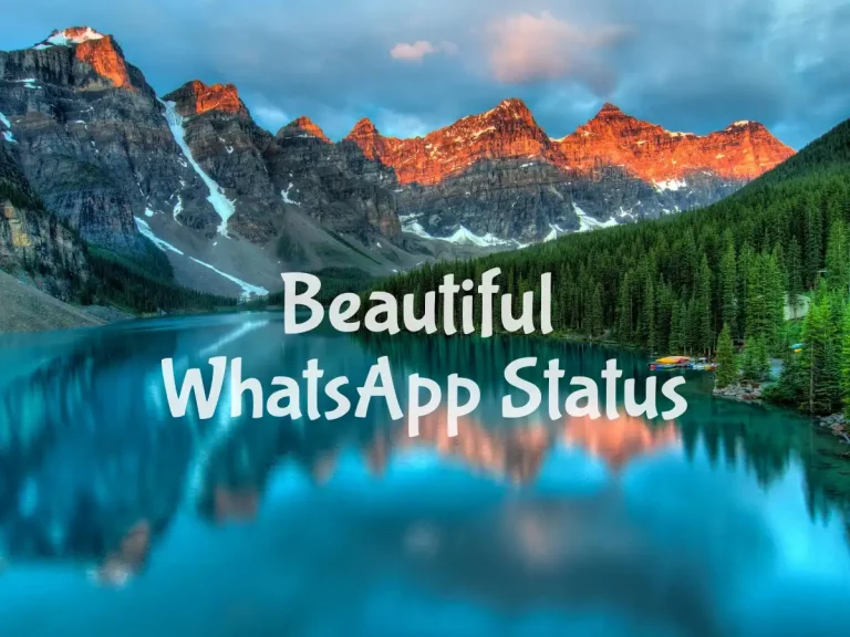 Beautiful WhatsApp Status