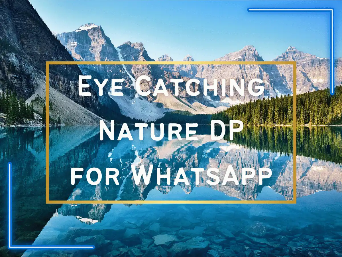 Eye Catching Nature DP for WhatsApp