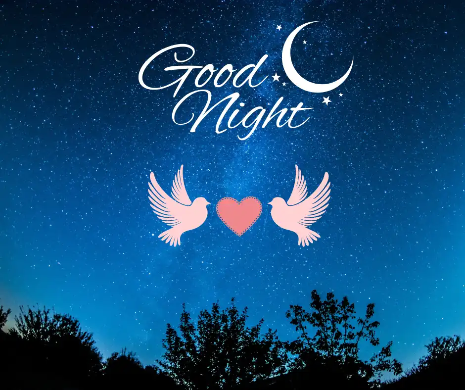Romantic Good Night wishes